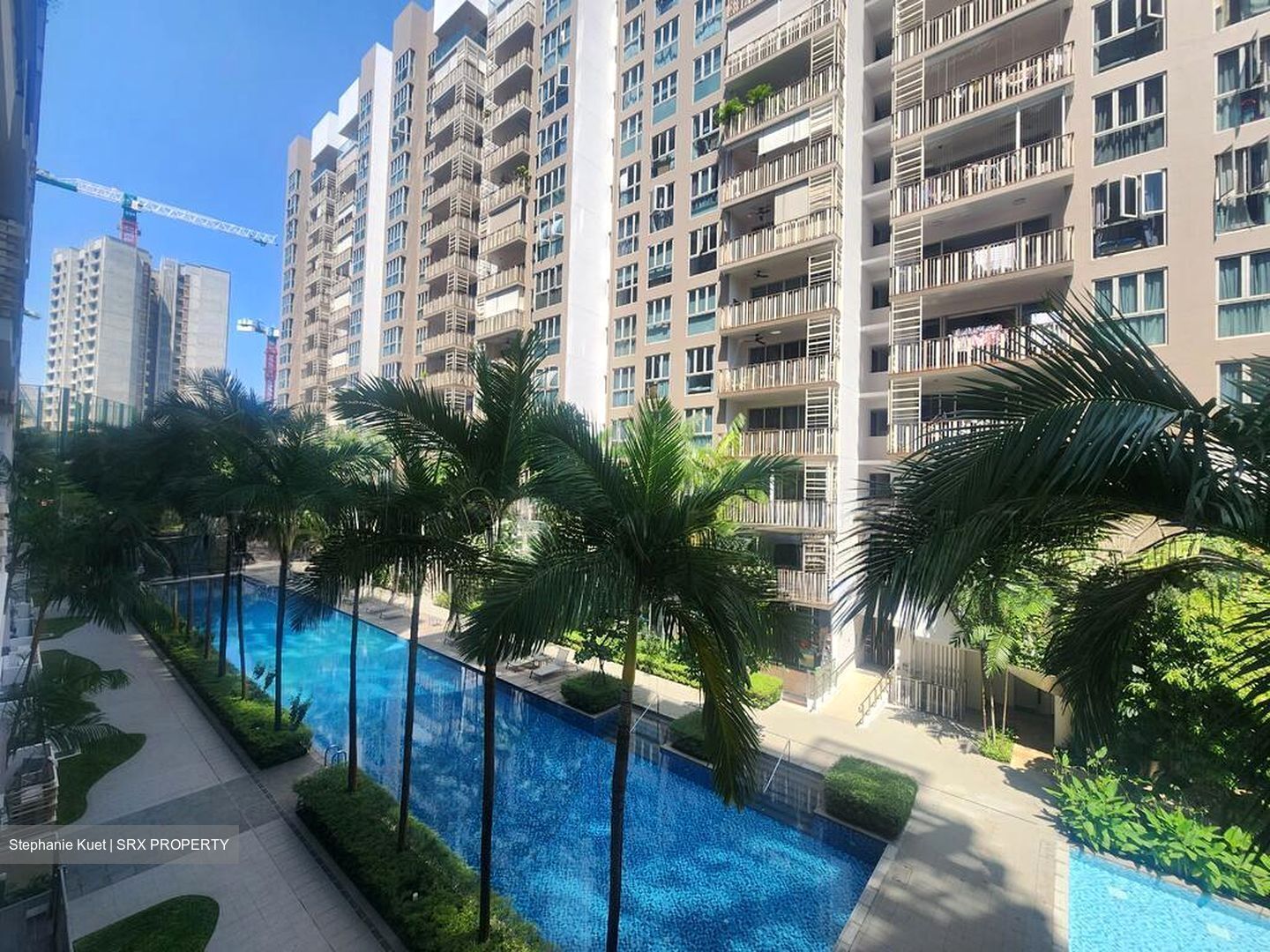 eCO (D16), Condominium #499426601